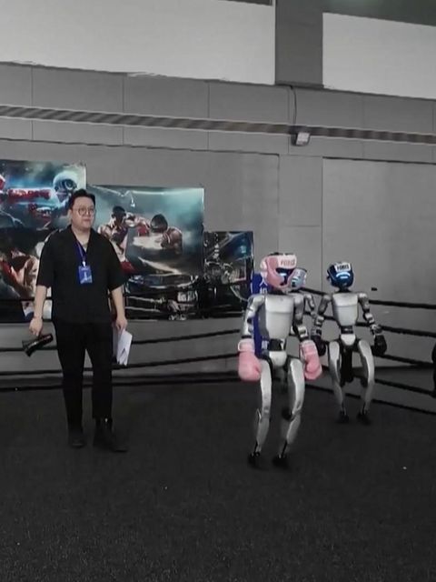 Diese Roboter steigen in den Boxring