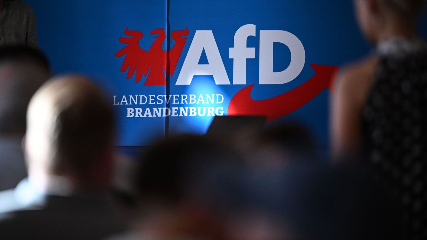 Entering the AfD: Brandenburg Constitutional Protection exposes AfD high classification