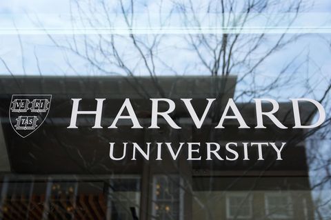 Die Harvard University befindet sich in einer Schlammschlacht mit US-Präsident Donald Trump