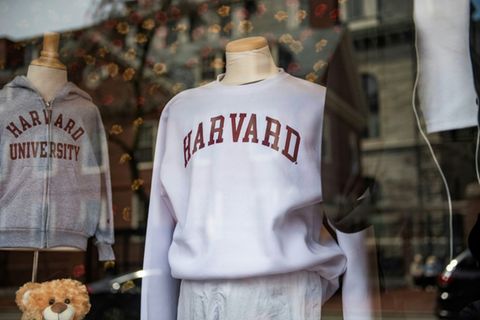 Harvard-Pulli in Uni-Shop