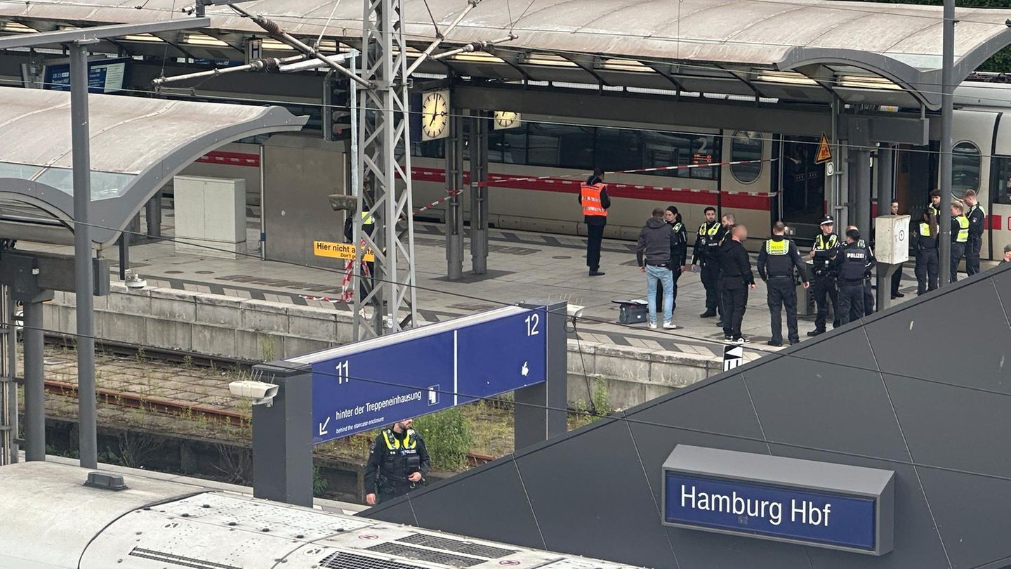 Polizisten stehen auf einem Gleis am Hamburger Hauptbahnhof