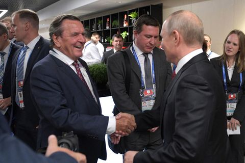 Das Bild zeigt Gerhard Schröder und Wladimir Putin. Sie lächeln sich an und geben sich die Hand