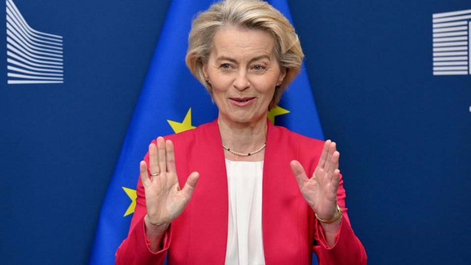Zollstreit Mit Den Usa Der Tiefe Fall Der Beziehungen Deutsche Politiker Enthüllen Trumps Perfide Taktik - sml7oz2