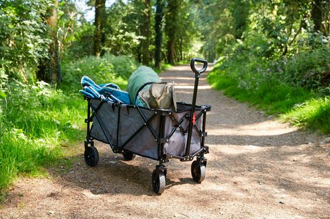 Bollerwagen mit Inhalt steht auf einem Wanderweg im Wald