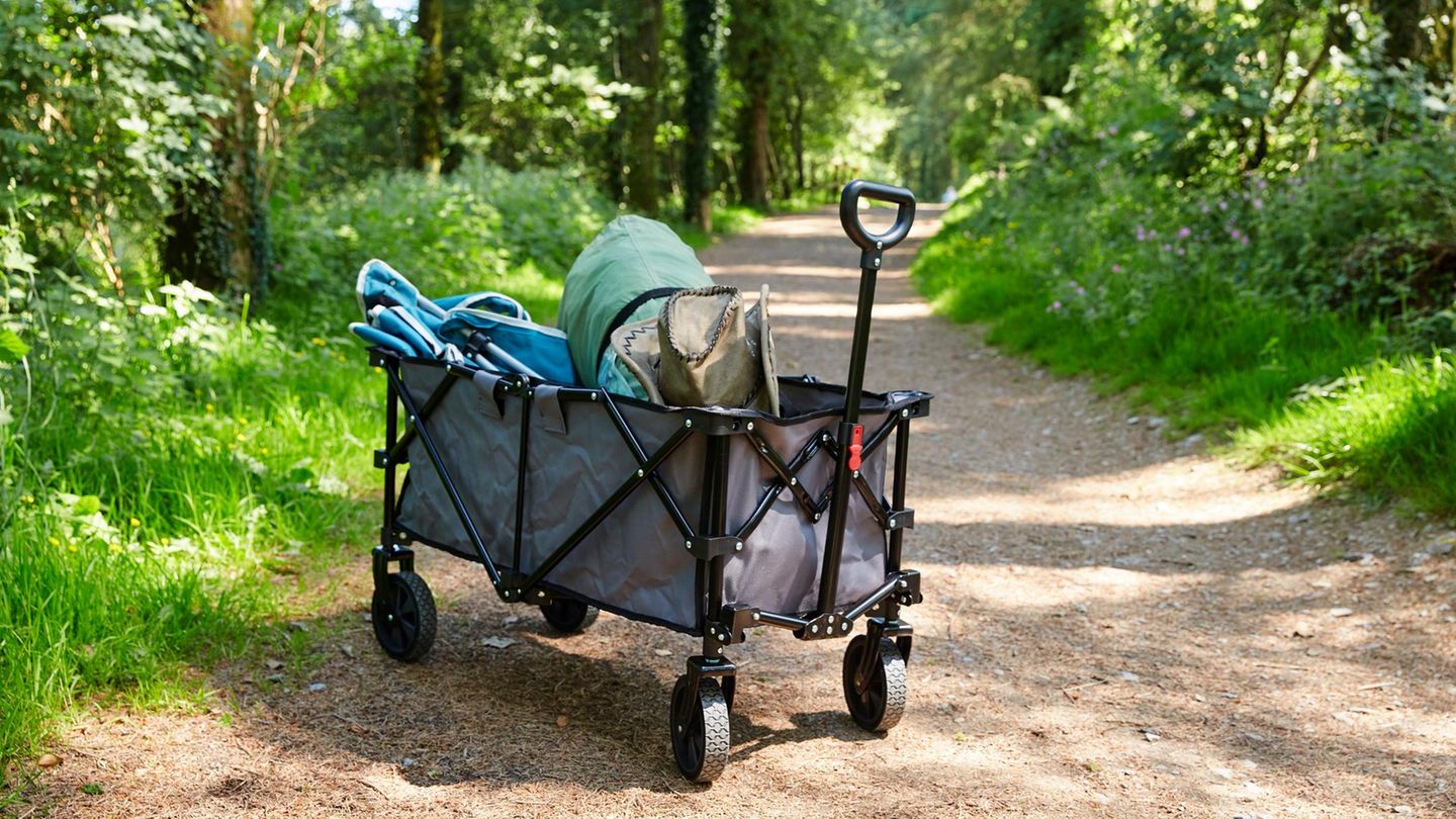 Bollerwagen mit Inhalt steht auf einem Wanderweg im Wald