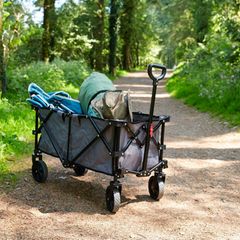 Bollerwagen mit Inhalt steht auf einem Wanderweg im Wald