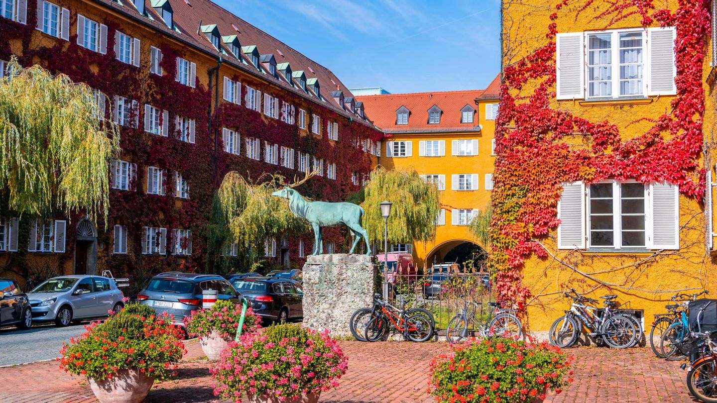 Mehrfamilienhäuser in München Moosach