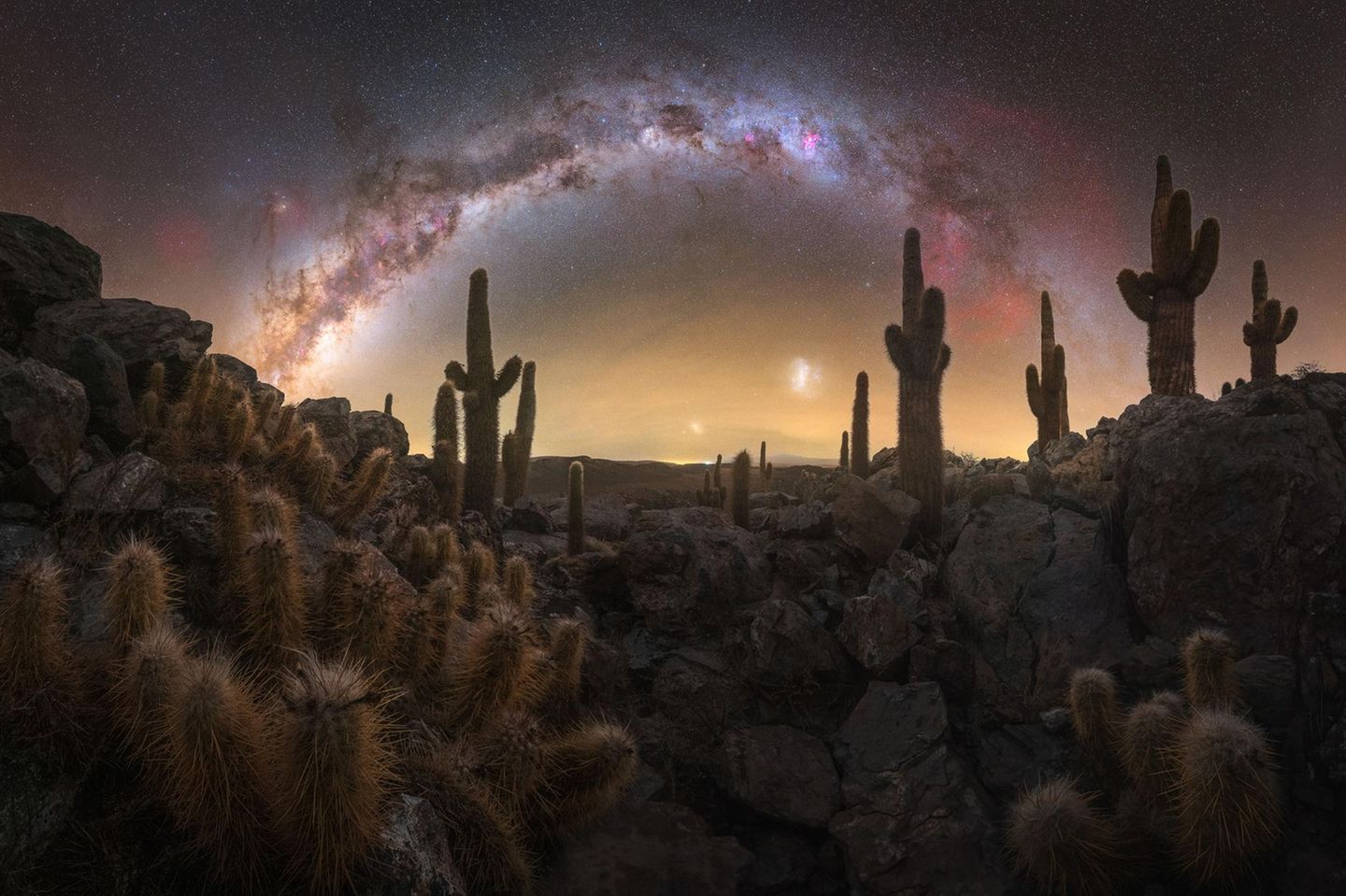 Milchstraße über dem Atacama-Kaktustal