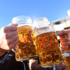 Oktoberfest: Menschen stoßen mit Maß Bier an