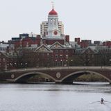 Ein Ruderer rudert den Charles River in der Nähe der Harvard University hinunter