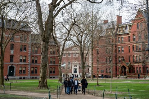 Studentinnen und Studenten auf dem Harvard-Campus