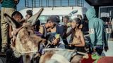 Vor Hunger begnügen sich manche Wartende mit trockenen Nudeln direkt aus der Packung – denn auch Trinkwasser ist knapp. Doch laut israelischen Medienberichten und Augenzeugen ist es auch zu chaotischen Szenen gekommen. Die israelische Armee teilte mit, Soldaten hätten außerhalb des Zentrums Warnschüsse abgegeben