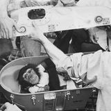 Tiere im Weltall: Schimpanse