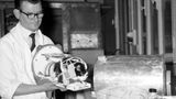 Tiere im Weltall: Katze Félicette