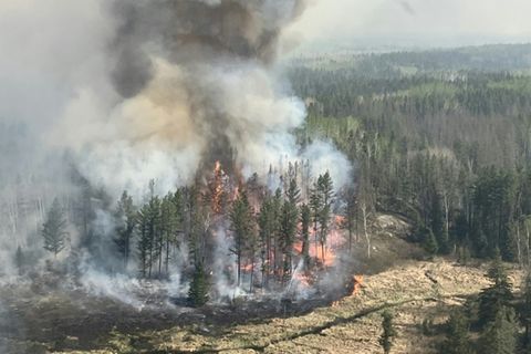 Waldbrand Mitte Mai in Kanada