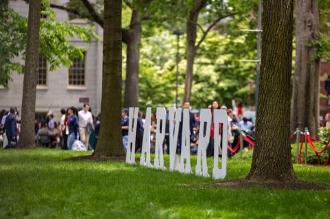 Auf einer Wiese stehen weiße Buchstaben und bilden das Wort "Harvard"
