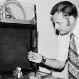 Tiere im Weltall: Spinne