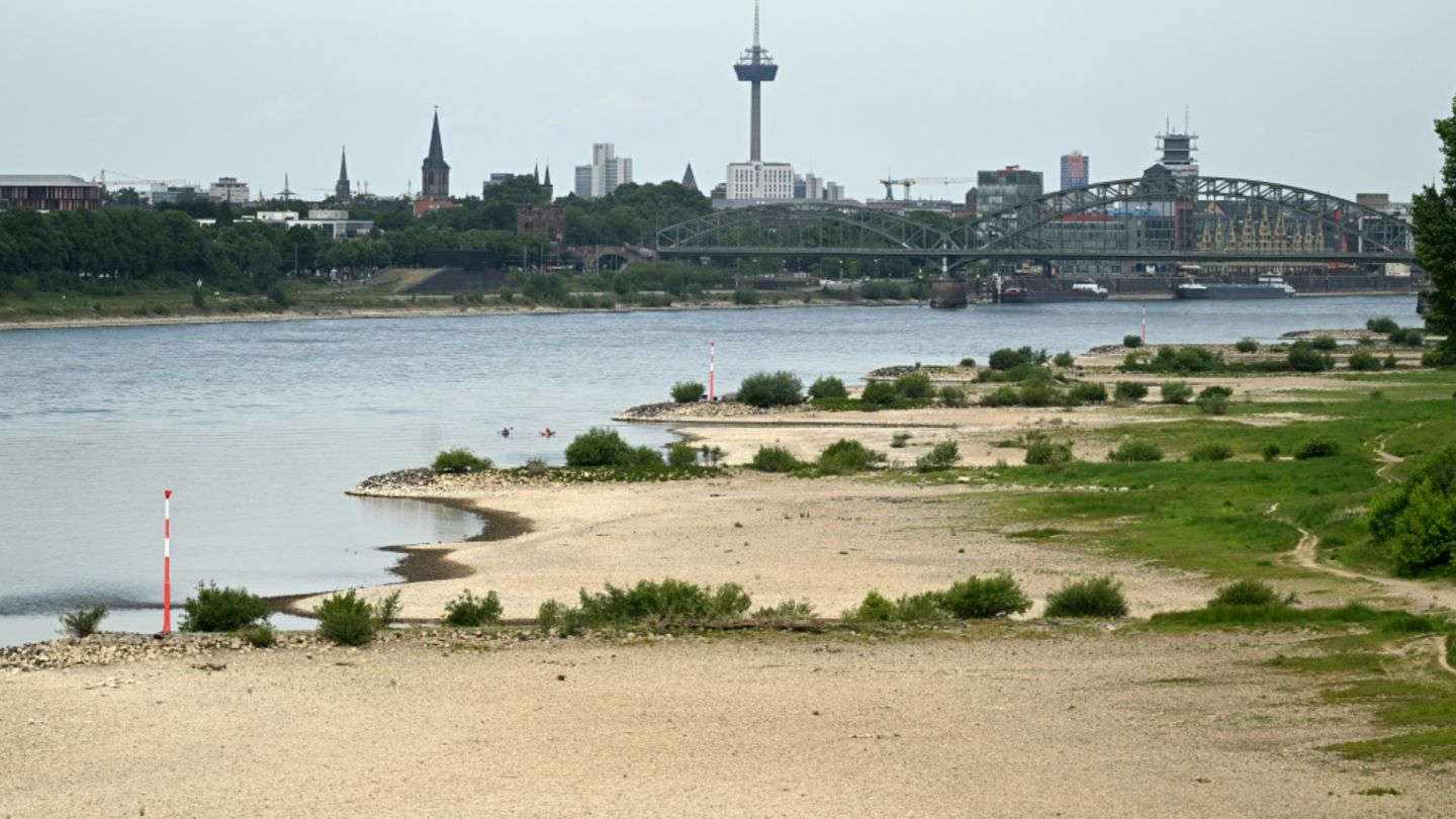 Niedriger Wasserstand im Rhein im Mai 2025