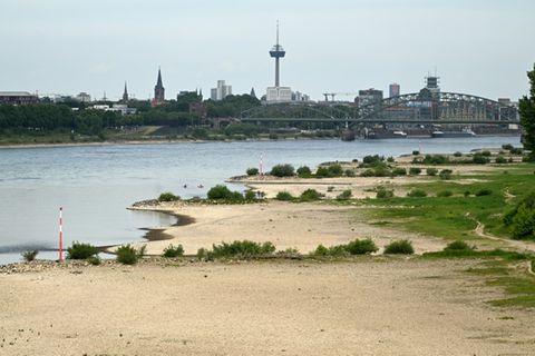Niedriger Wasserstand im Rhein im Mai 2025