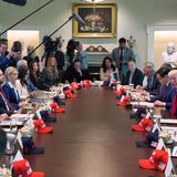 Elon Musk sitzt am Kabinettstisch mit den anderen Ministern