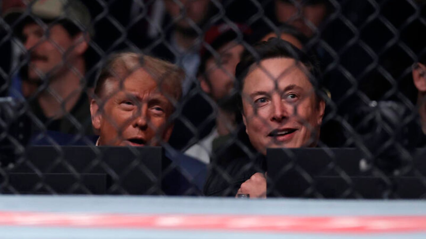 Elon Musk’s most bizarre appearances as a consultant of Donald Trump