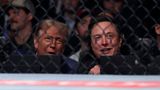 Elon Musk und Donald Trump am Rande eines UFC-Kampfs