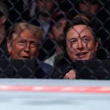 Elon Musk und Donald Trump am Rande eines UFC-Kampfs