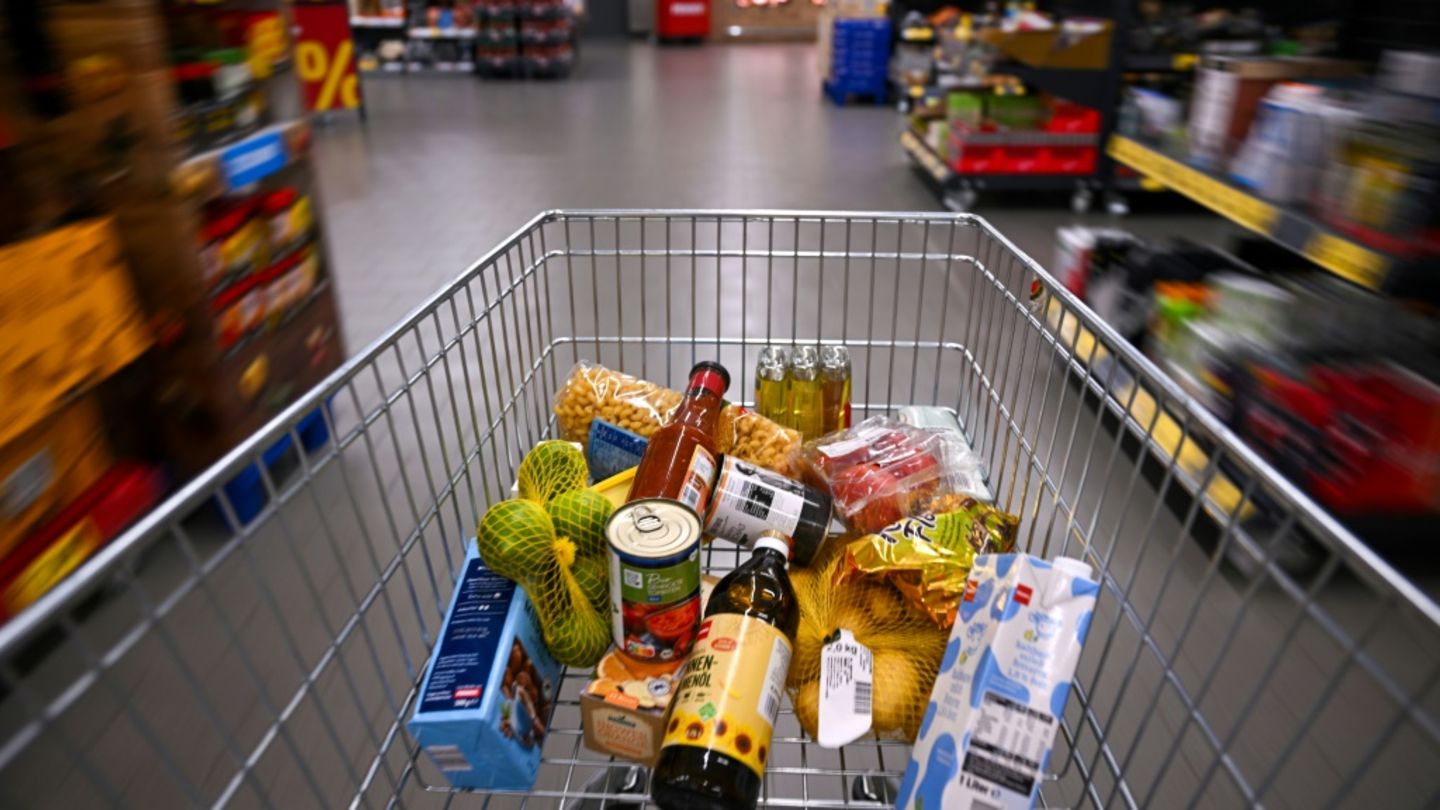 Einkaufswagen mit Lebensmitteln in Supermarkt in Berlin
