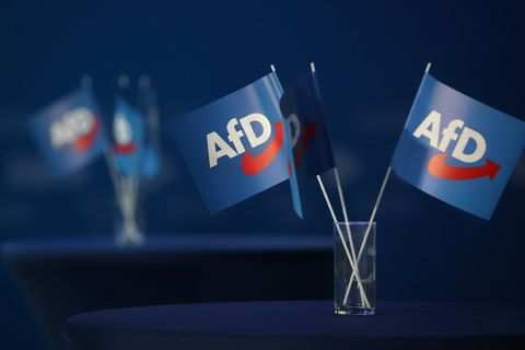 Fähnchen mit AfD-Logo