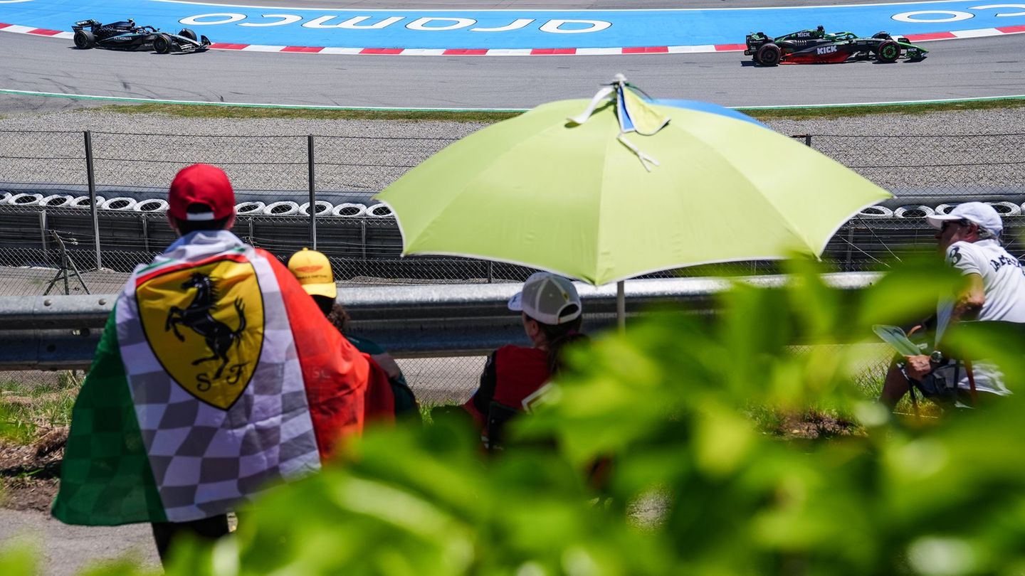 Formula 1 training: Norris and Verstappen with identical time-Piatri Top