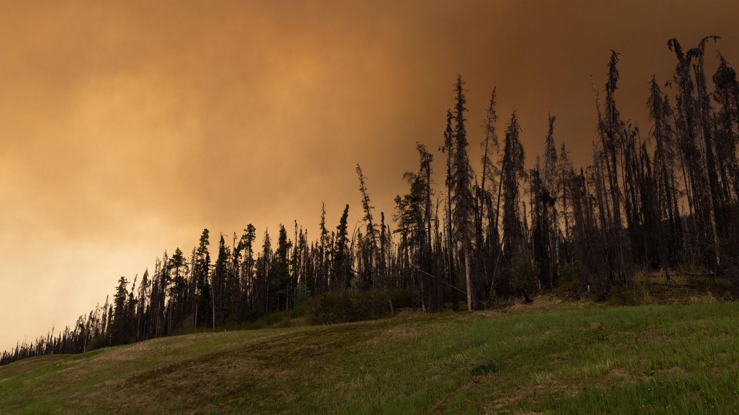 Rauch von Waldbränden steigt über dem Highway 97 in Kanada auf