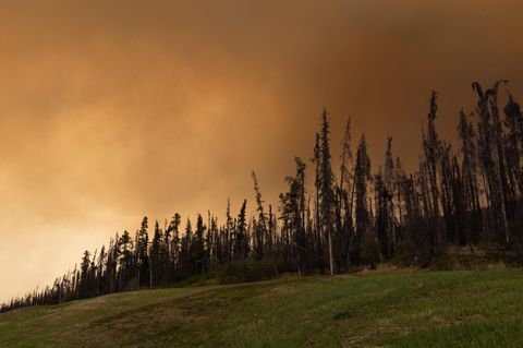 Rauch von Waldbränden steigt über dem Highway 97 in Kanada auf