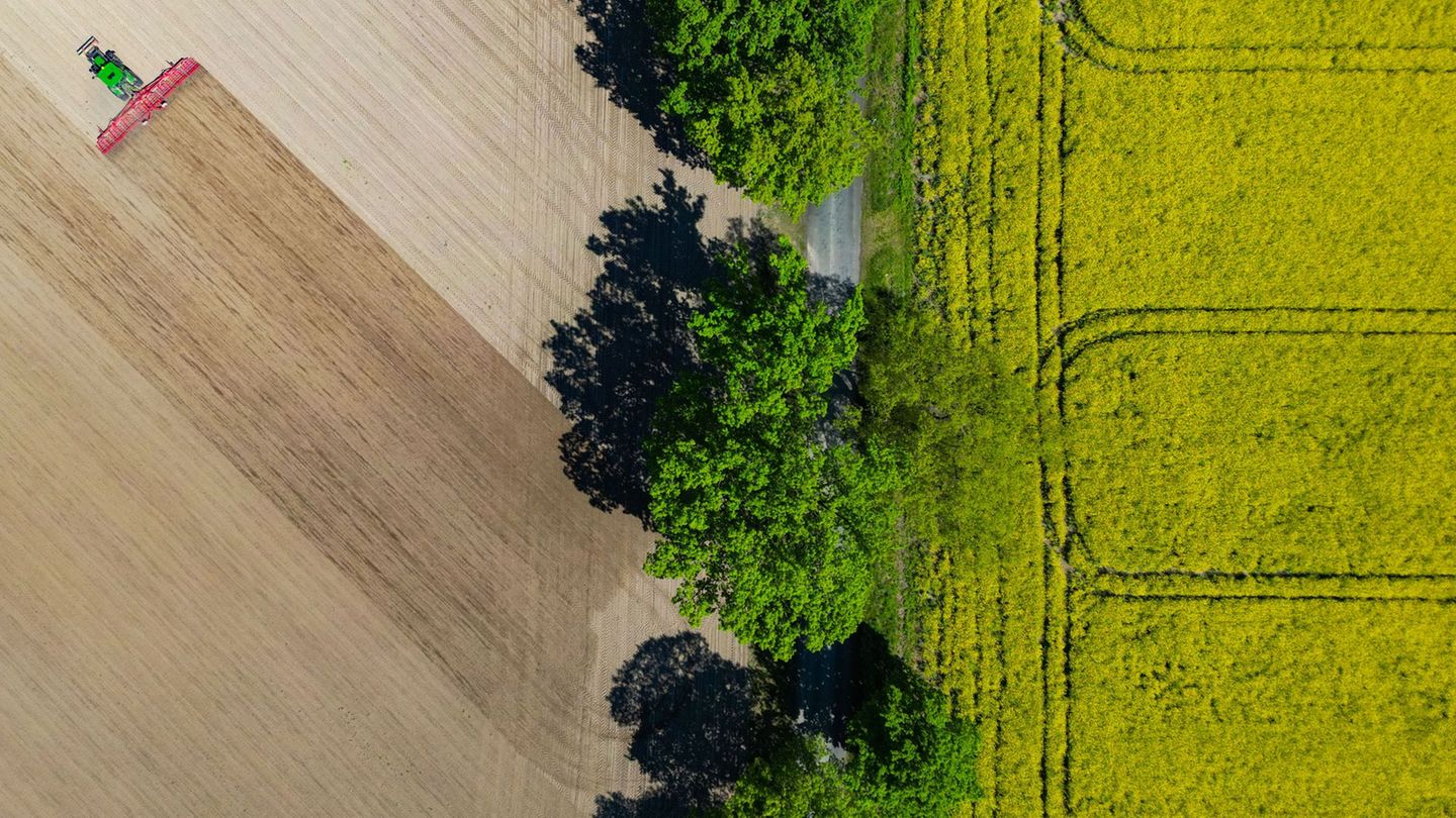 Landwirtschaft-Brandenburger-Landpartie-Besucher-k-nnen-Bauernh-fe-erleben