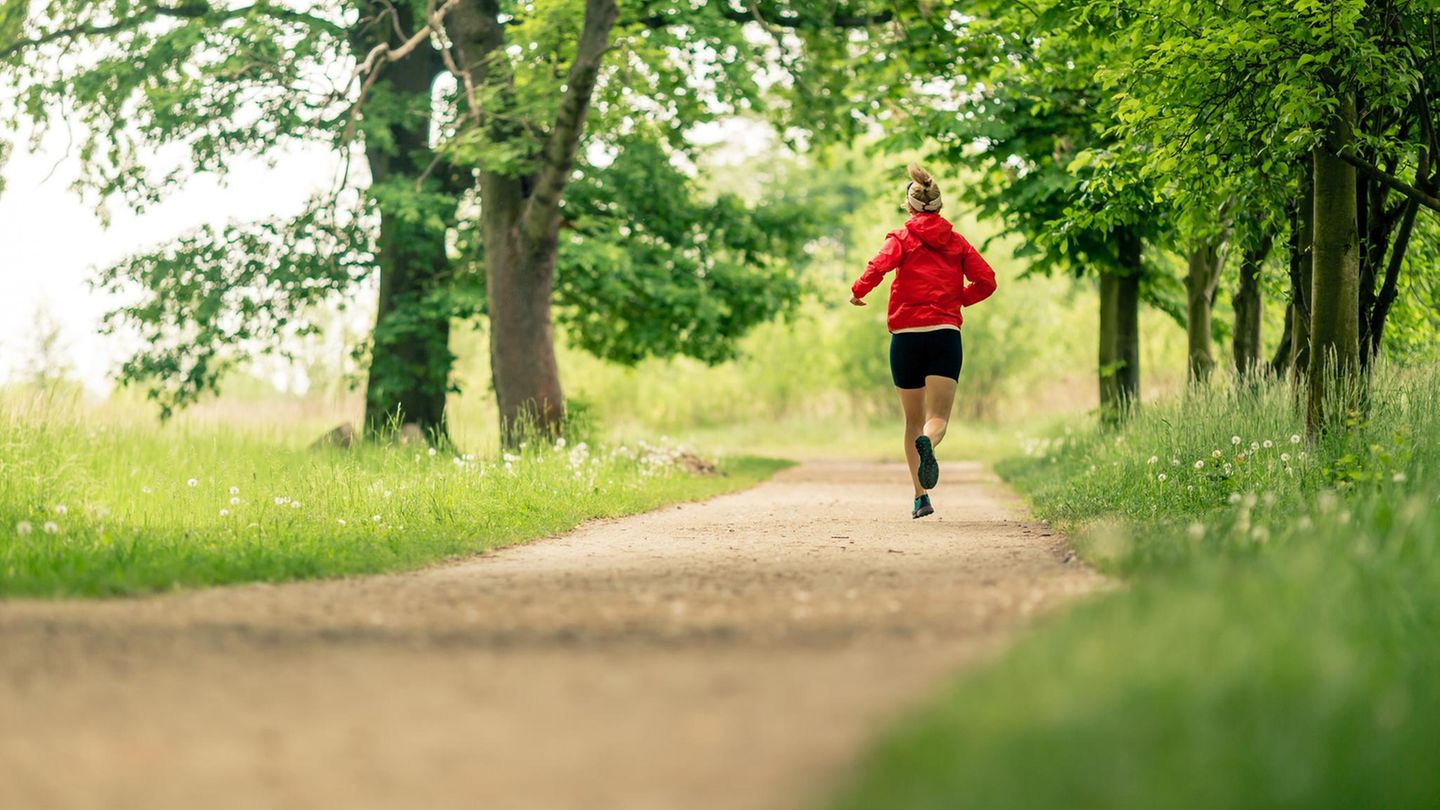 Person am joggen im Wald Person am joggen im Wald