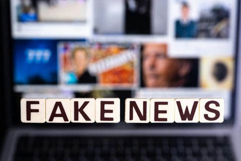 Schriftzug "Fake News"