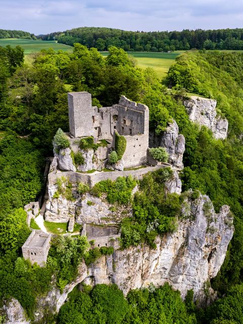 Ruine Reußenstein am Fels, umgeben von dichtem Wald