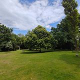 Das Weitwinkel-Objektiv fängt die Szenerie im Park ein