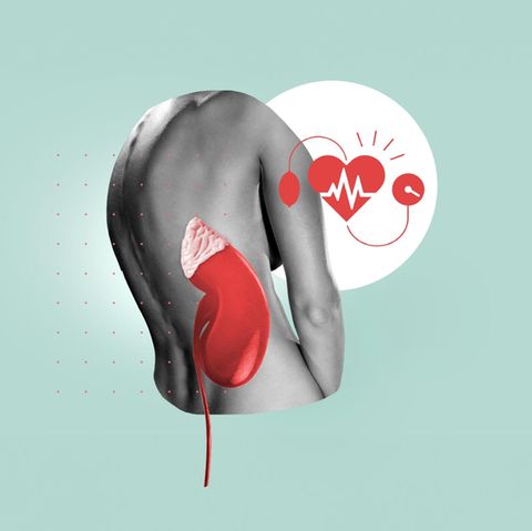 Diagnose Conn-Syndrom und hoher Blutdruck: Illustration eines Rückens und einer Nebenniere