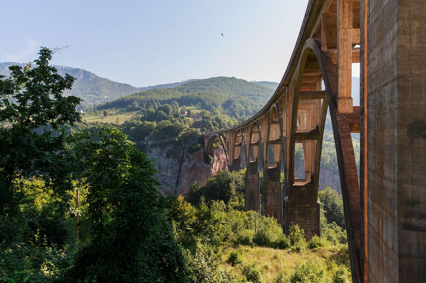 Tara-Schlucht, Montenegro Tara-Schlucht