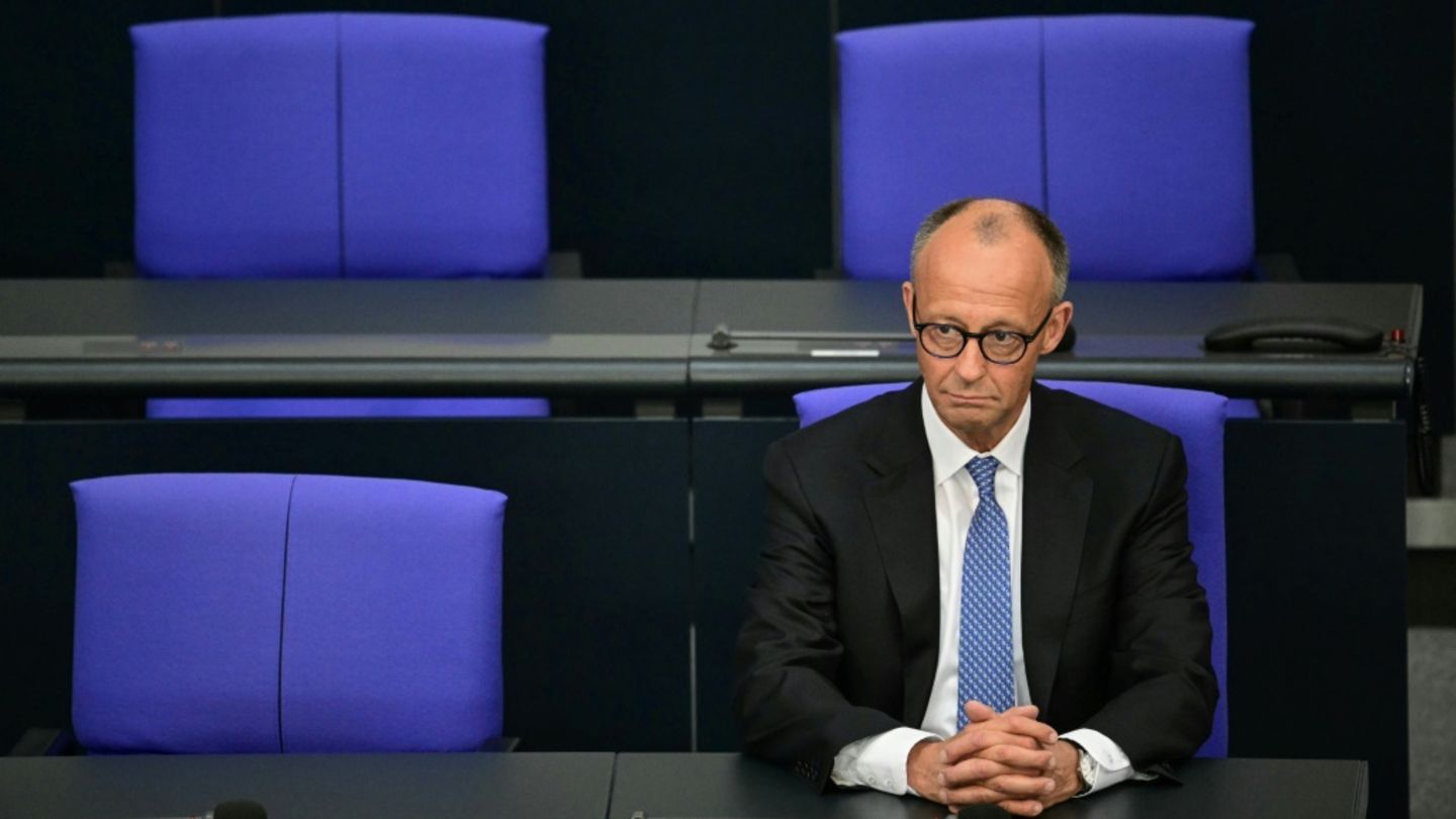 Merz im Bundestag