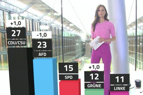 RTL/n-tv-Trendbarometer: Union setzt sich von AfD ab – Mehrheit unzufrieden mit Merz