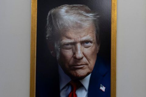 Donald Trump: Das neue Porträt hängt im Weißen Haus
