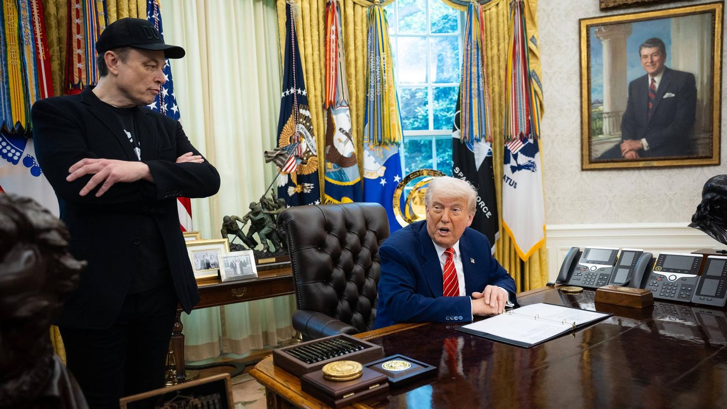 Elon Musk and Donald Trump: their failed friendship in quotations