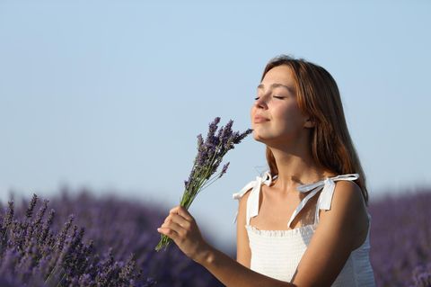 Aromatherapie Frau steht vor Lavendelfeld und riecht an einem Büschel Blüten