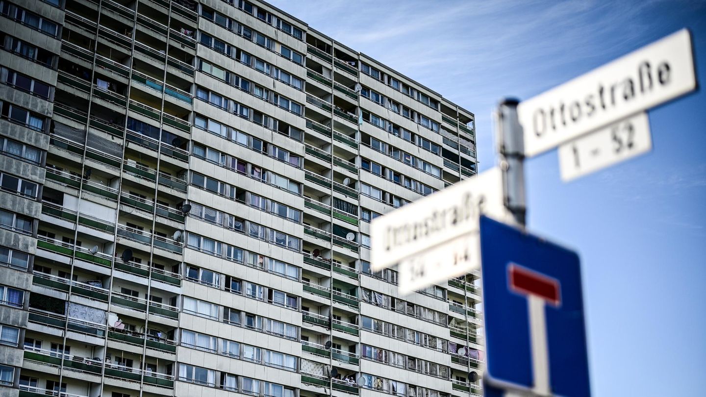 Bärbel BAS raises the alarm for social fraud – is she right?