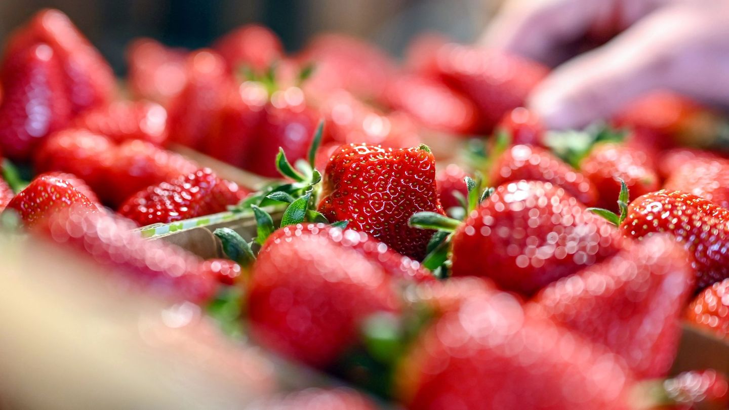 Nutrition: Strawberries at season low prices – that much the shell costs