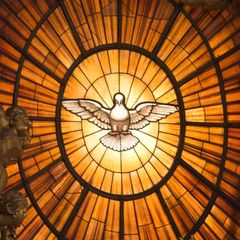 Quiz zu Feiertagen: Taube als Symbol für Pfingsten und des Christentums