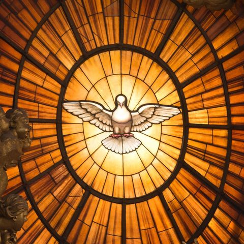 Quiz zu Feiertagen: Taube als Symbol für Pfingsten und des Christentums