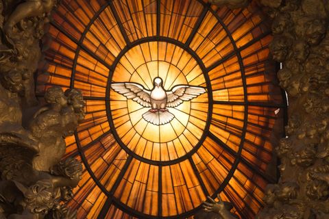 Quiz zu Feiertagen: Taube als Symbol für Pfingsten und des Christentums