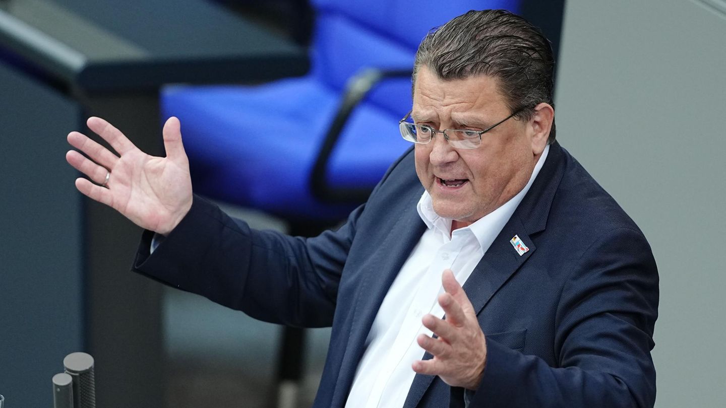 AfD wants to concern minister for tax waste